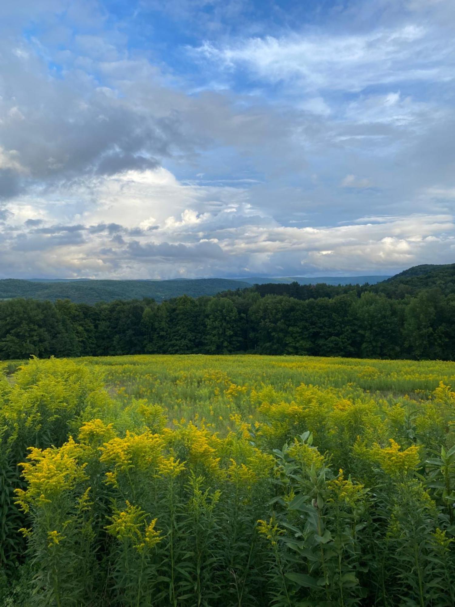 August Cooperstown